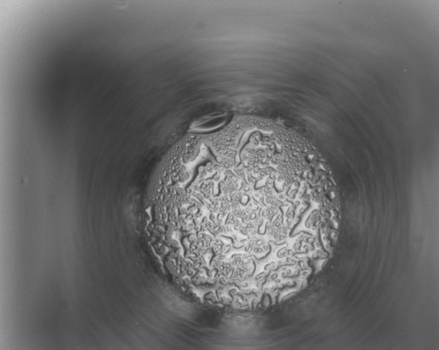 X0000071770181200607150038