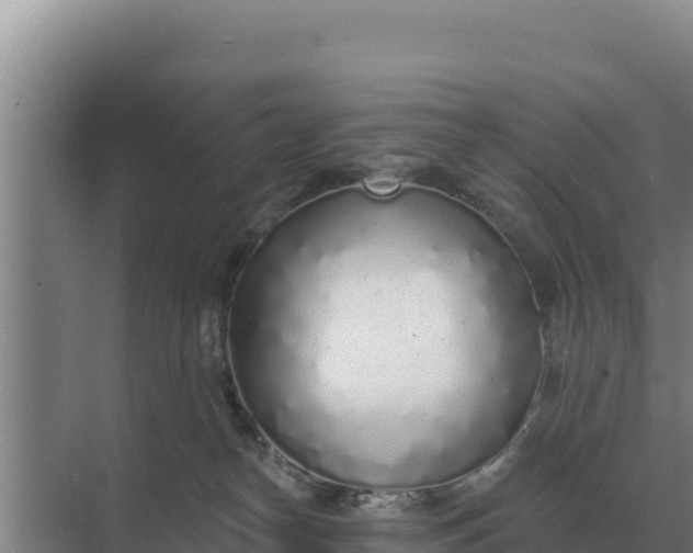 X0000071770182200607150038