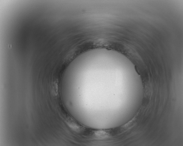 X0000071770183200607150038