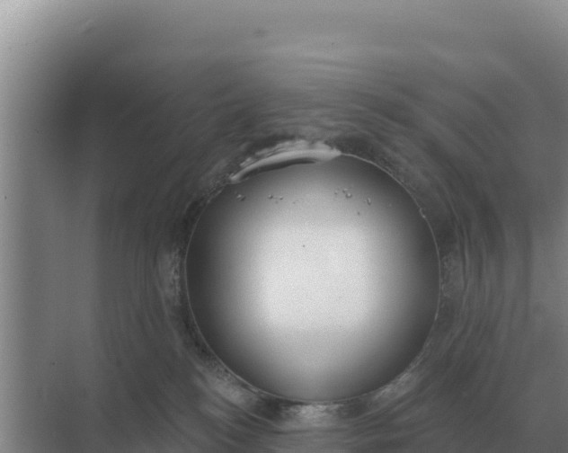 X0000071770184200607150038