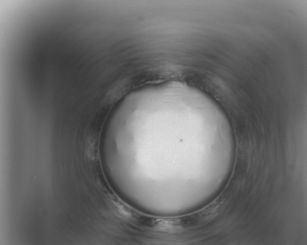 X0000071770185200607150038