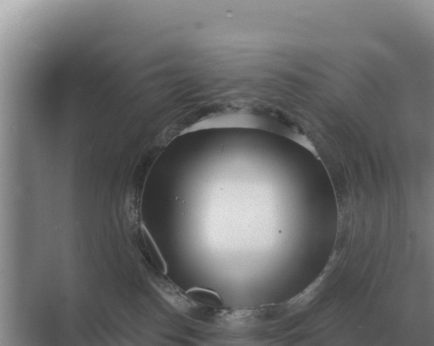 X0000071770186200607150038