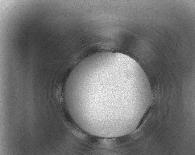 X0000071770187200607150038