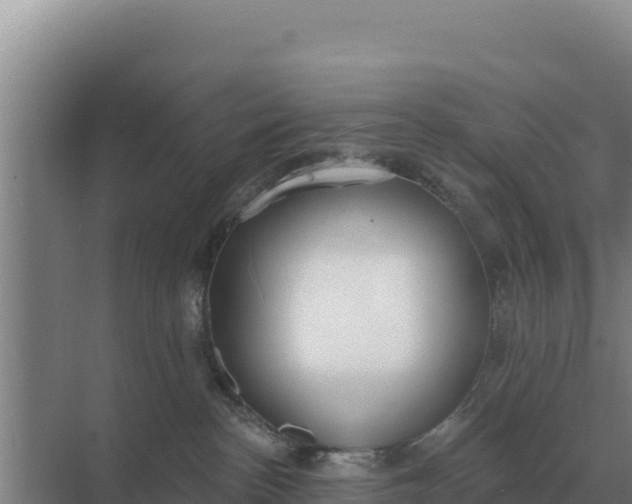 X0000071770188200607150038