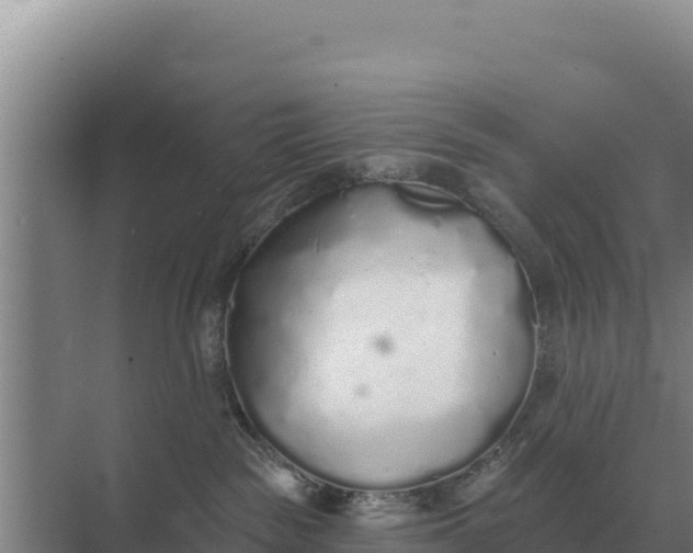 X0000071770189200607150038