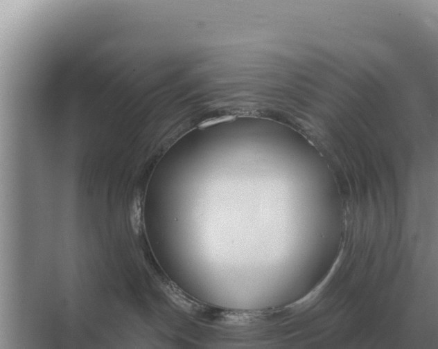 X0000071770190200607150038