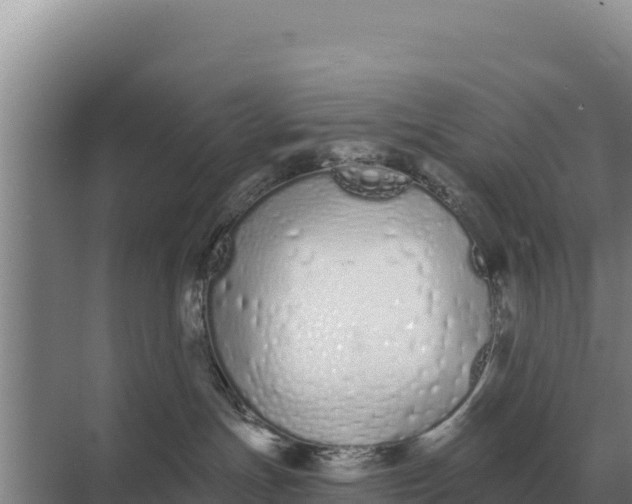 X0000071770191200607150038