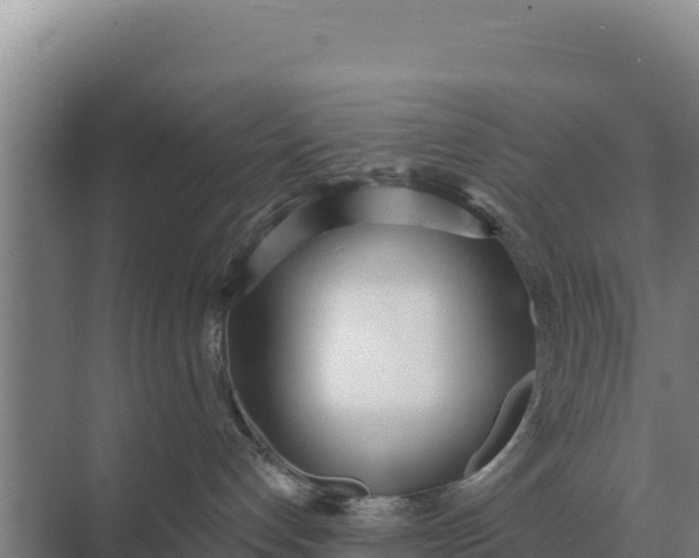 X0000071770192200607150038