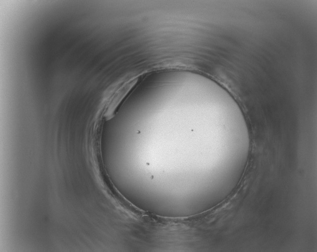 X0000071770193200607150037