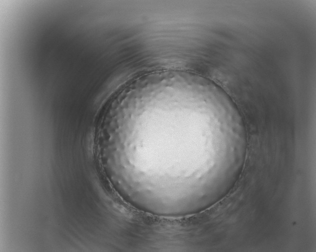 X0000071770194200607150037