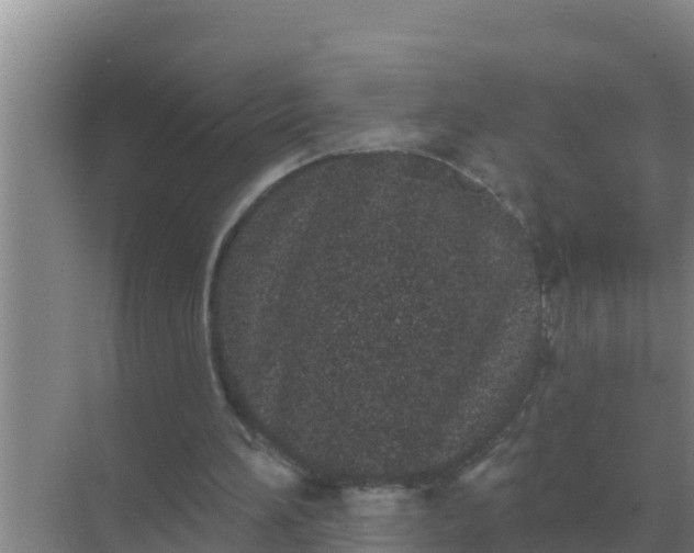 X0000071770196200607150037