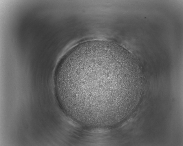 X0000071770198200607150037