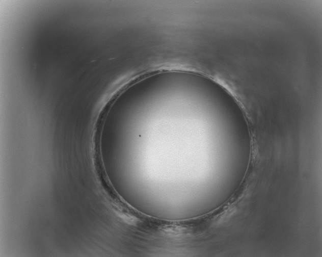 X0000071770199200607150037