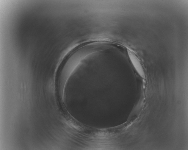 X0000071770200200607150037