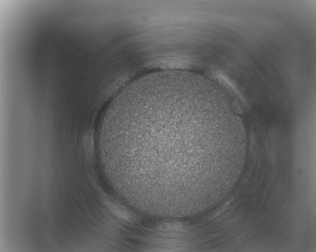 X0000071770202200607150037