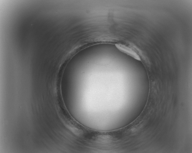 X0000071770203200607150037