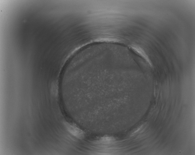 X0000071770204200607150037