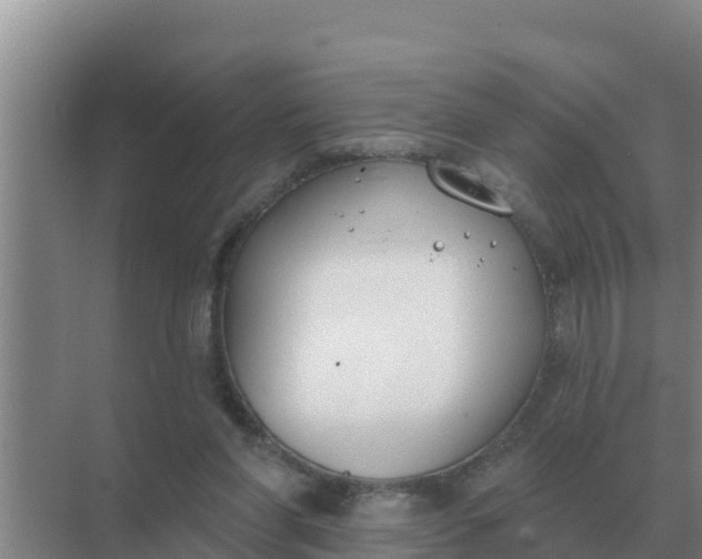 X0000071770206200607150037