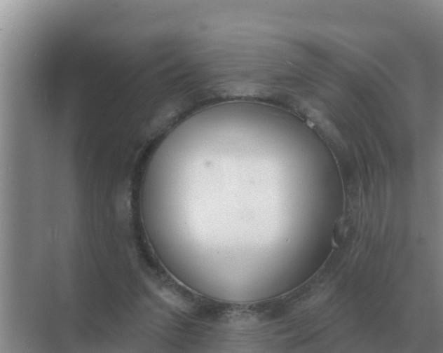 X0000071770207200607150037