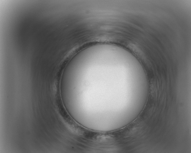 X0000071770208200607150037