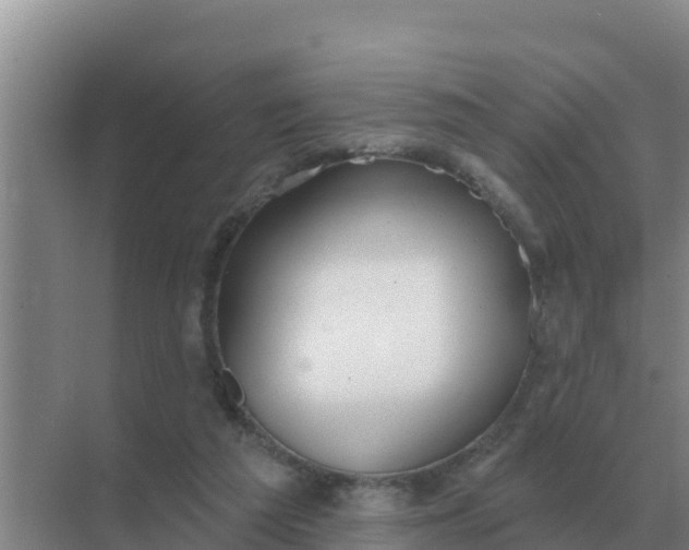 X0000071770209200607150037