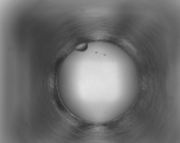 X0000071770210200607150037