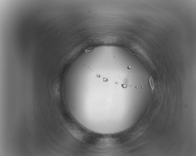 X0000071770212200607150037