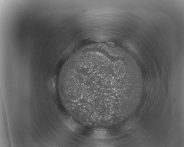 X0000071770214200607150037