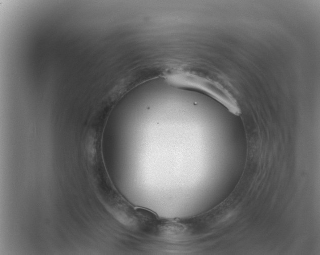 X0000071770215200607150037