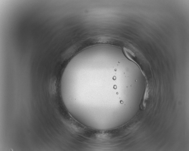 X0000071770216200607150037