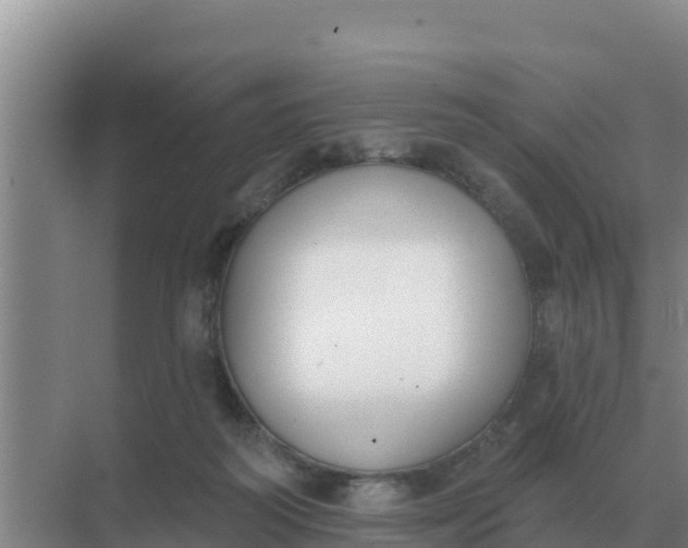 X0000071770218200607150037