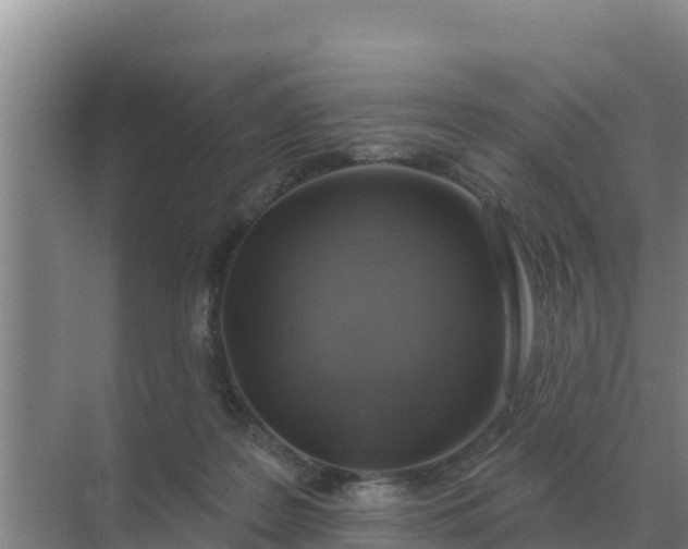 X0000071770219200607150037