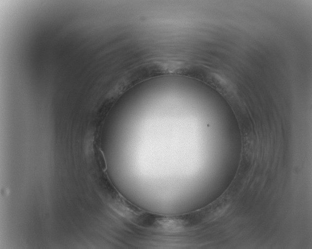 X0000071770221200607150037