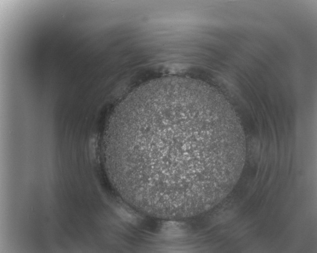 X0000071770222200607150037