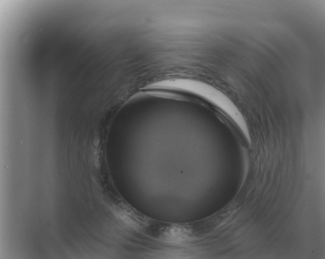 X0000071770223200607150037