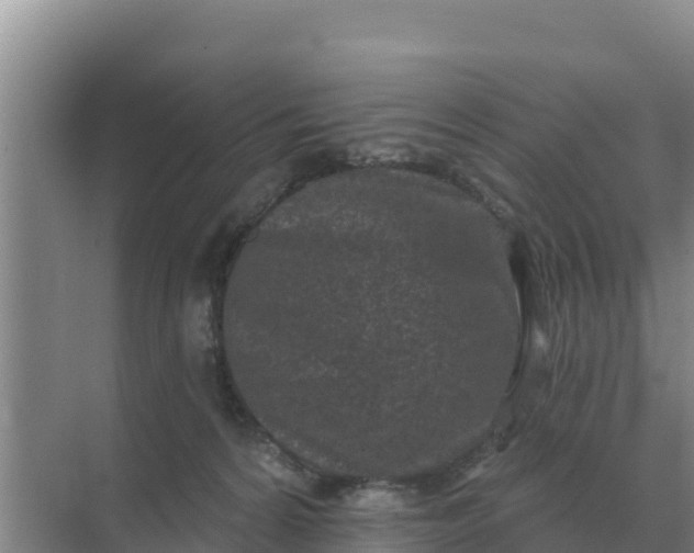 X0000071770224200607150037