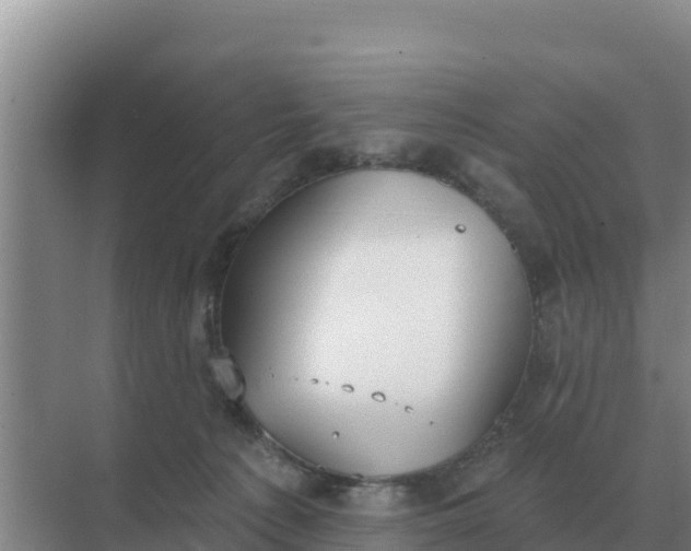 X0000071770225200607150036