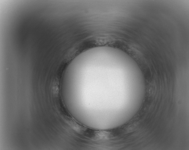 X0000071770226200607150036