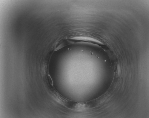 X0000071770227200607150036