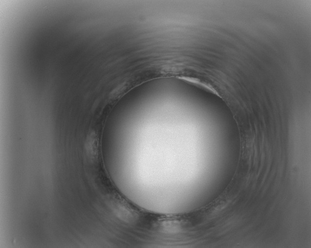 X0000071770228200607150036