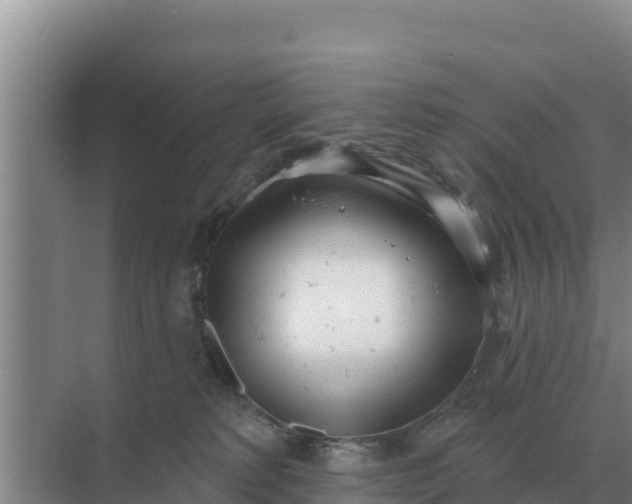 X0000071770229200607150036