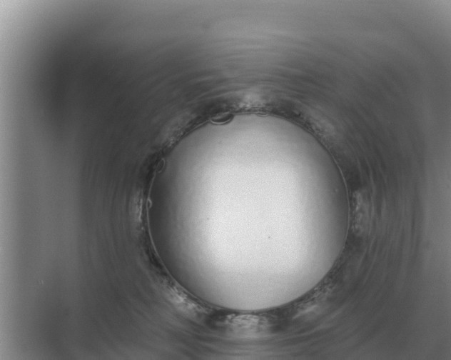 X0000071770230200607150036