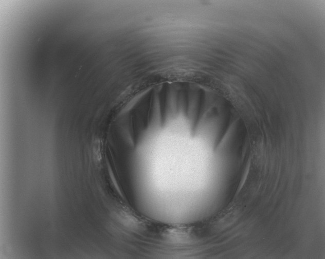 X0000071770232200607150036