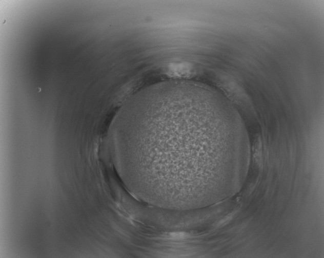 X0000071770233200607150036