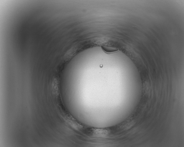 X0000071770234200607150036