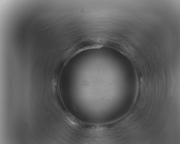 X0000071770235200607150036