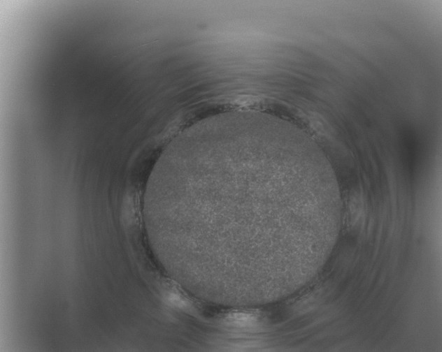 X0000071770236200607150036