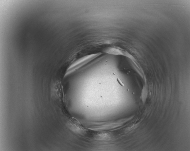 X0000071770237200607150036