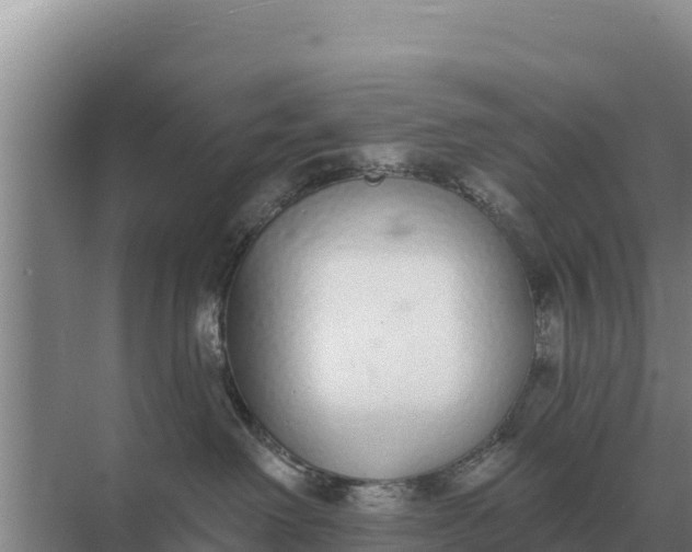 X0000071770238200607150036