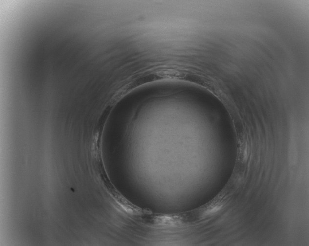 X0000071770239200607150036